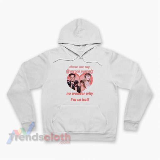 Haylor My Divorced Parents Harry Styles And Taylor Swift Hoodie