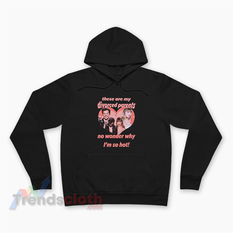 Haylor My Divorced Parents Harry Styles And Taylor Swift Hoodie