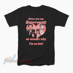 Haylor My Divorced Parents Harry Styles And Taylor Swift T-Shirt